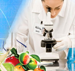 山東檢驗檢疫局食品農產品檢測中心 黨員技術服務熱線，筑牢食品安全防線